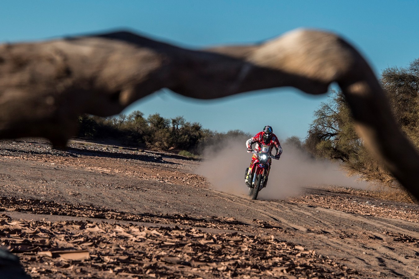 Monster Energy Honda Team takes the leadership in the Desafío Ruta 40 with a second stage one-two
