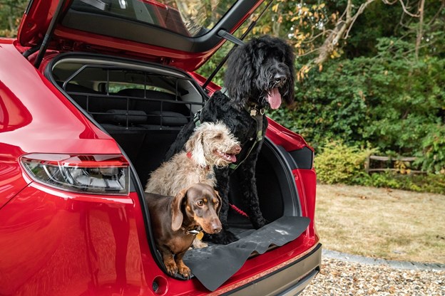 HONDA LAUNCHES NEW RANGE OF DOG ACCESSORIES, INSPIRED BY APRIL FOOLS’ DAY JOKE
