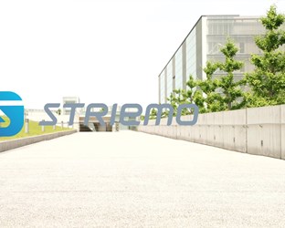 Honda Announces the Establishment of Striemo Inc.