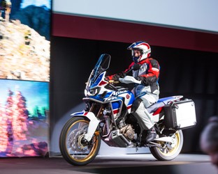 Take a look at the new ‘Adventure Sports’ Africa Twin and its relatives