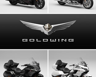 Nuove colorazioni 2022 per Rebel 500 e Gold Wing