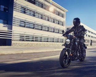 2022 Honda CB300R Cutdown