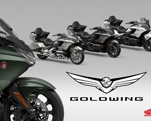 24YM Gold Wing Social Images