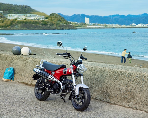 The Dax bounds back into Honda’s European motorcycle range