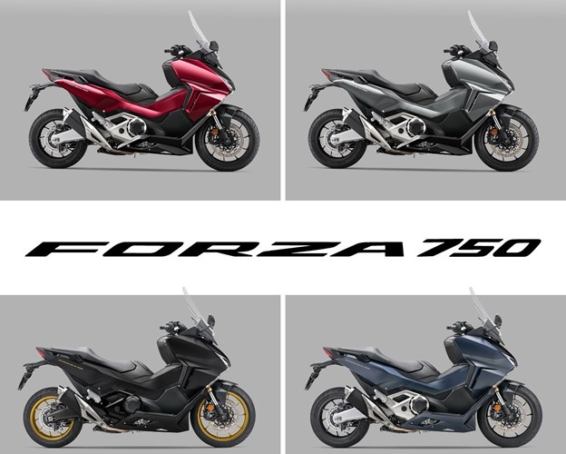 New Special Editions and new colour for the 24YM X-ADV; new colours for Forza 750